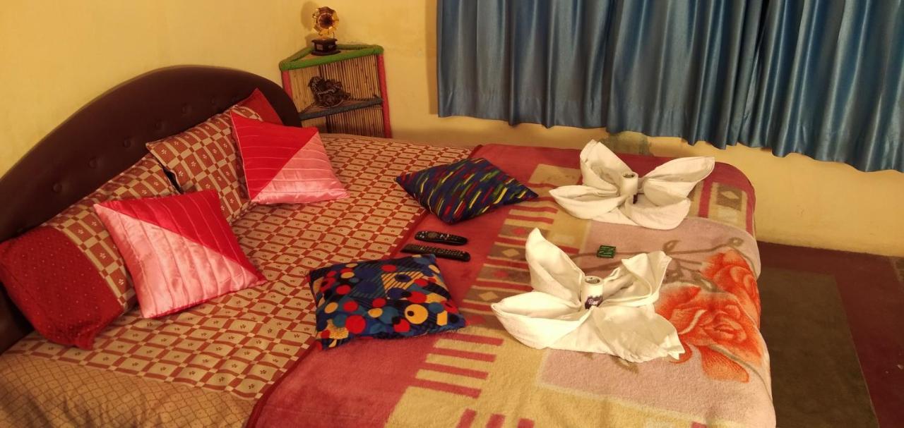 Auberge de jeunesse Travellers House Jodhpur à Jodhpur  Extérieur photo